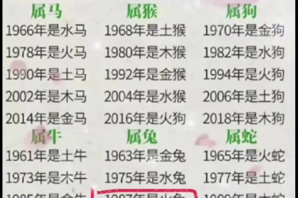1992年属什么生肖配对