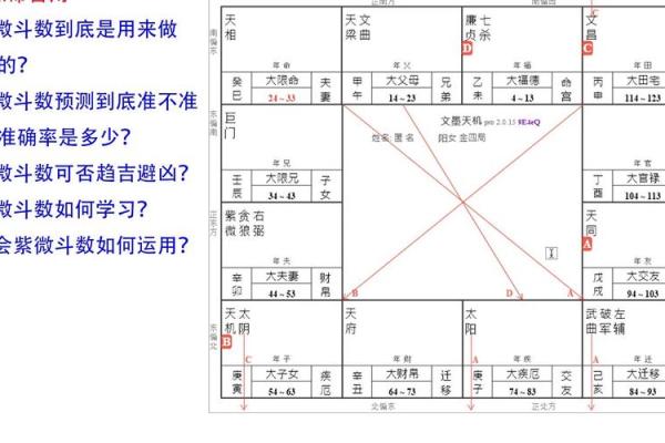 算紫薇斗数网站
