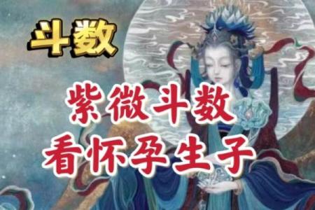 紫薇斗数看有没有孩子