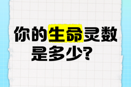 生命灵数3跟灵数几配对