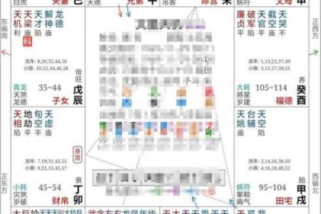 算紫薇斗数网站