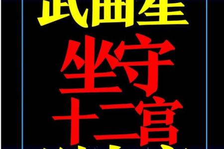 紫薇斗数大限武曲