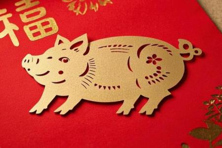 属猪人必知的方位禁忌