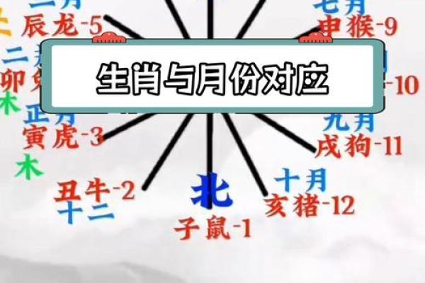 生肖五行配对 五行与十二生肖的搭配方式