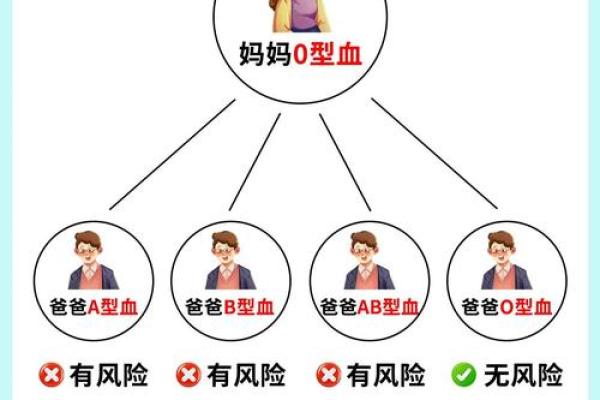 血型会影响怀孕吗- O型血的女性不易受孕