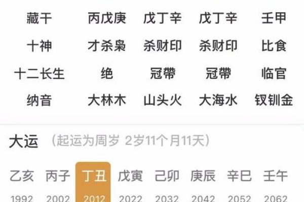 甲戌丙子己卯乙丑八字详解及运势分析