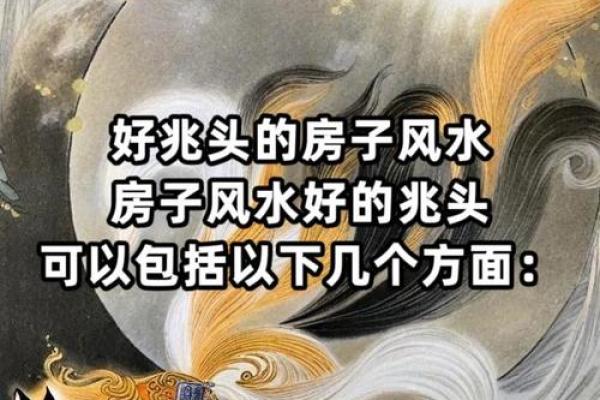 如何利用风水学为你的房子创造一个舒适的环境