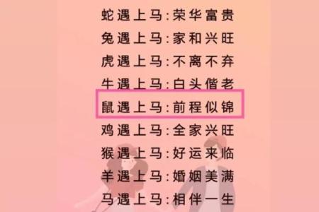 男猴女马生肖配对姻缘