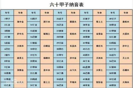 甲戌丙子己卯乙丑八字详解及运势分析