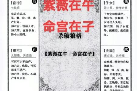紫薇斗数破格富贵