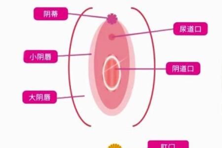 探索女性私密能量在风水中的重要性