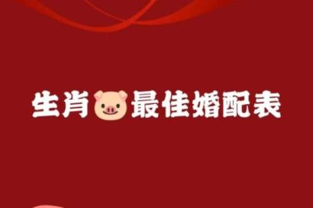 八字合婚在线算命-1971年属猪的蕞佳配偶是哪个属相