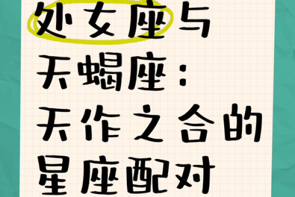 处女座适合什么星座做兄弟的