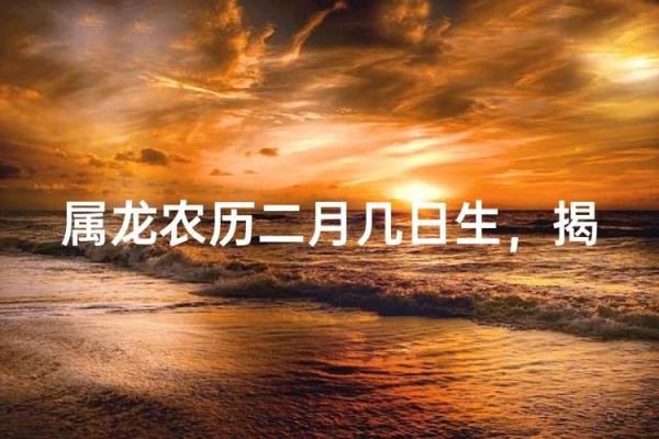 属龙的男孩出生吉日