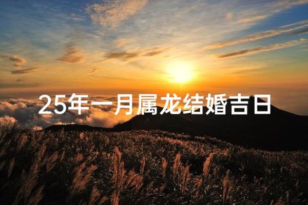 属龙的男孩出生吉日