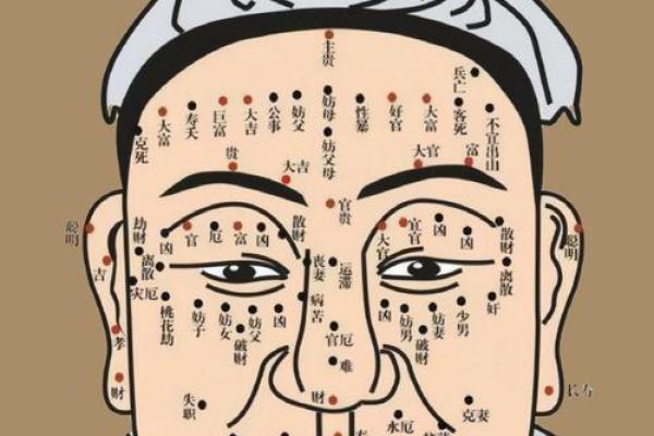 相面八字眉的面相解析与注重方法详解