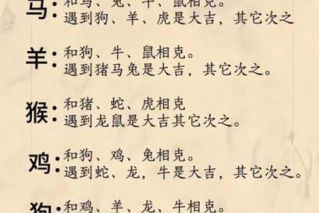 属鼠和属鸡的八字合不合得来,属鸡的跟属鼠的合财吗