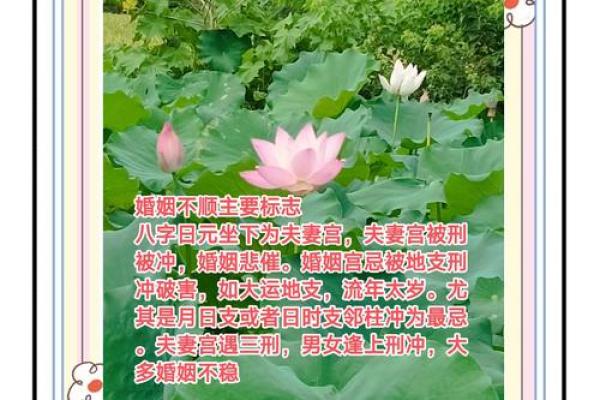 风水上婚姻不顺怎么化解