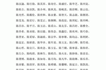 陈姓男孩名字大全-陈姓男孩起名字大全-陈姓名字大全姓名