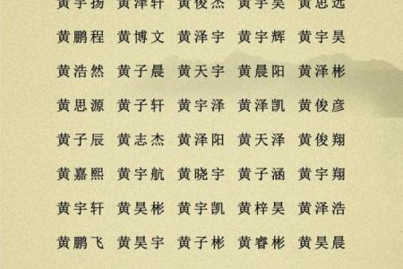 2019年5月23号子时出生的男孩起名时要注意什么姓名