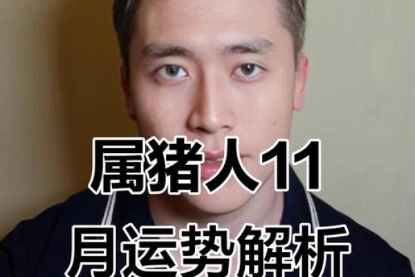 属猪午时出生的男孩起什么名，用什么字？姓名