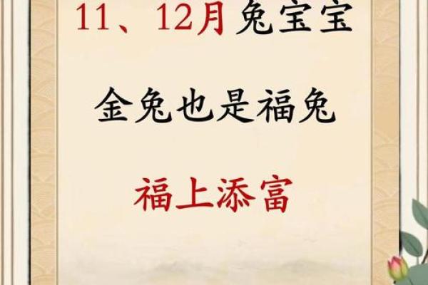 12月份出生的属兔男孩取哪些名字好姓名