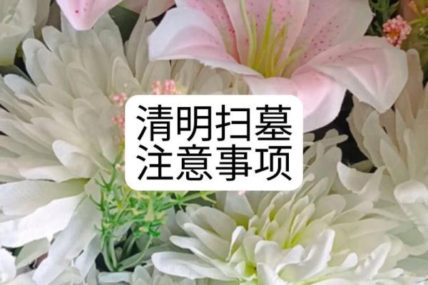 扫墓清明节不宜做什么事风水禁忌