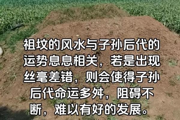 如何看自己的祖坟风水旺衰运势