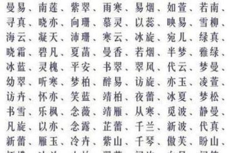 袁姓男孩名字大全-袁姓男孩起名字大全-袁姓名字大全姓名