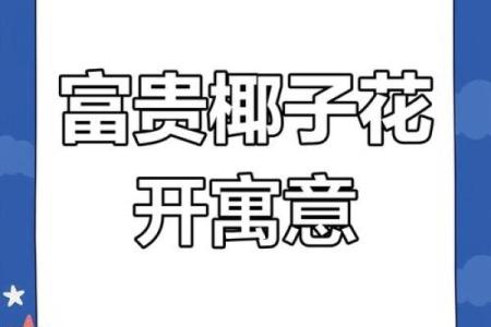 富贵椰子的风水寓意
