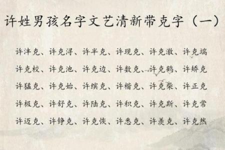 属猪寅时出生的男孩怎么取名字，宜用什么字姓名