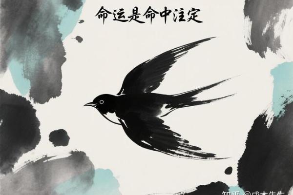 风水发财_你是否相信命运