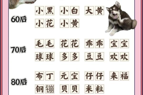 上午10点出生的属狗男孩如何取名，宜用什么字姓名