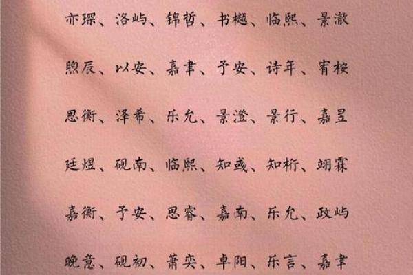 凌晨4点出生的属蛇男孩如何起名姓名