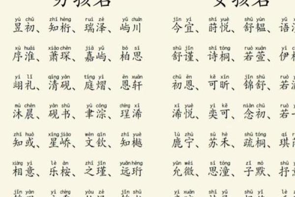 2019年3月29号子时出生的男孩要怎么起名字姓名