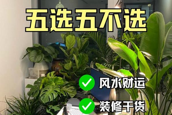 简单的风水改运，绿植摆放指南