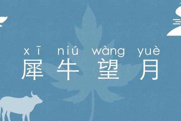 犀牛望月风水宝地