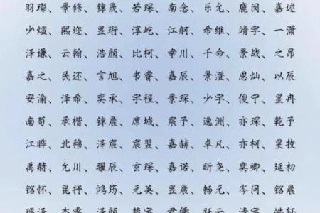 2019年4月1号丑时出生的男孩起名方法姓名