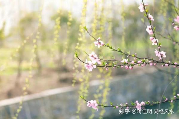 婚恋看点：导致墙外桃花的风水