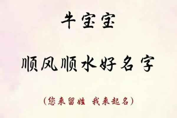 要如何给早上9点出生的属牛男孩取名字姓名