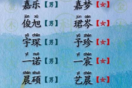 2019年3月21号丑时出生的男孩起名时要注意什么姓名