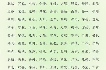 2019年3月26号卯时出生的男孩要怎么起名字姓名