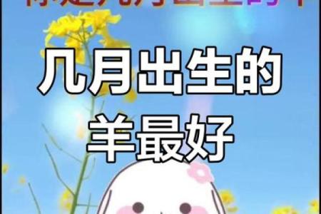 1月份出生的属羊男孩起什么名字好？姓名