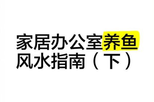 办公室风水鱼：创造积极办公环境的必备