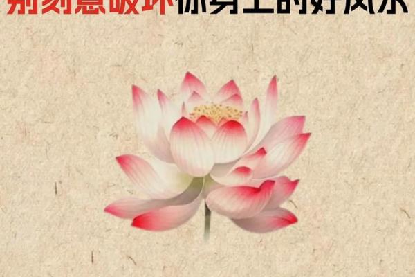 生意不好？真正原因藏在风水中