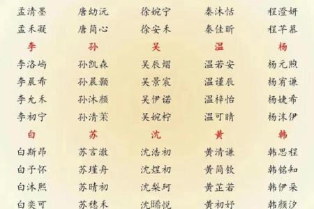 2019年3月26号亥时出生的男孩要怎么起名字姓名