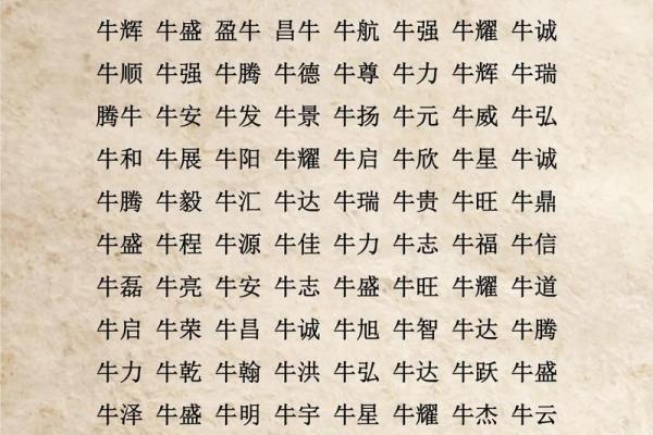 早上出生的属牛男孩的好名字有哪些姓名
