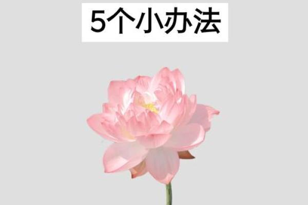 简单教你几招，学会自己看风水