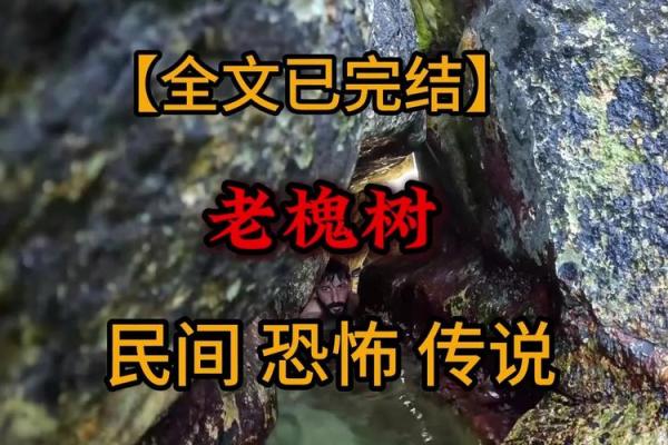 风水鬼故事之坟头怪树