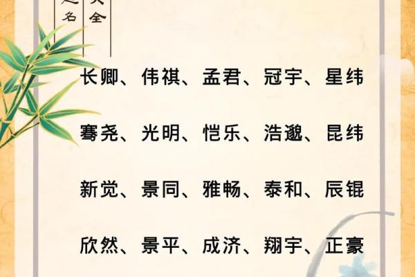 2019年3月19号辛时出生的男孩起名时要注意什么姓名